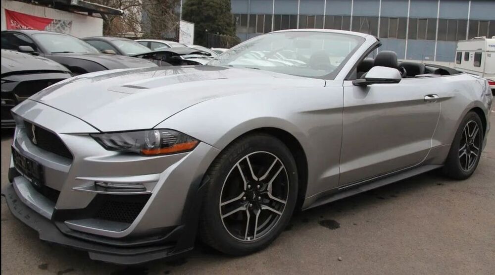 Mustang
