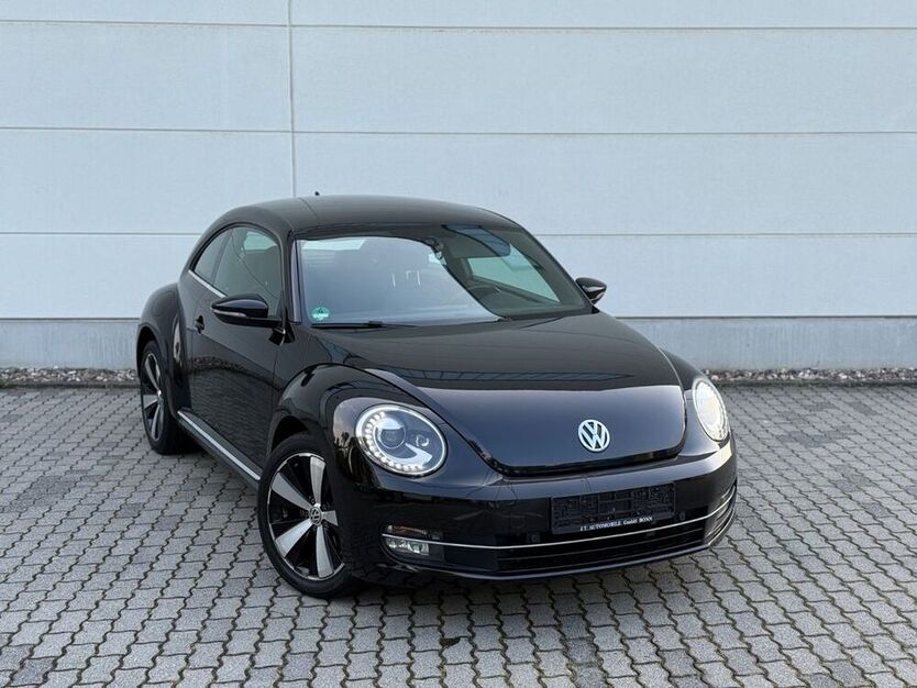 Beetle