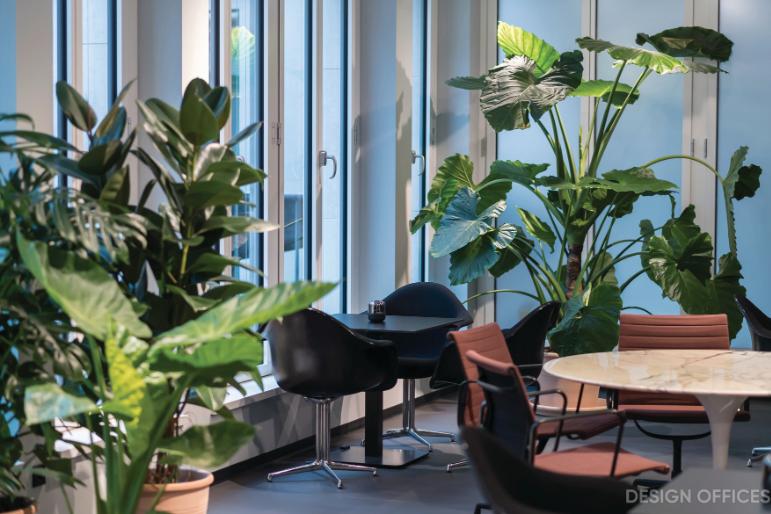 Exklusiver Büroraum Bonn - flexibel, möbliert, Barista-Bar & Netzwerk zimmer