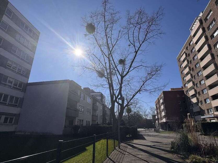 Wohnung zum Kaufen in Köln 223.000 € 81 m²