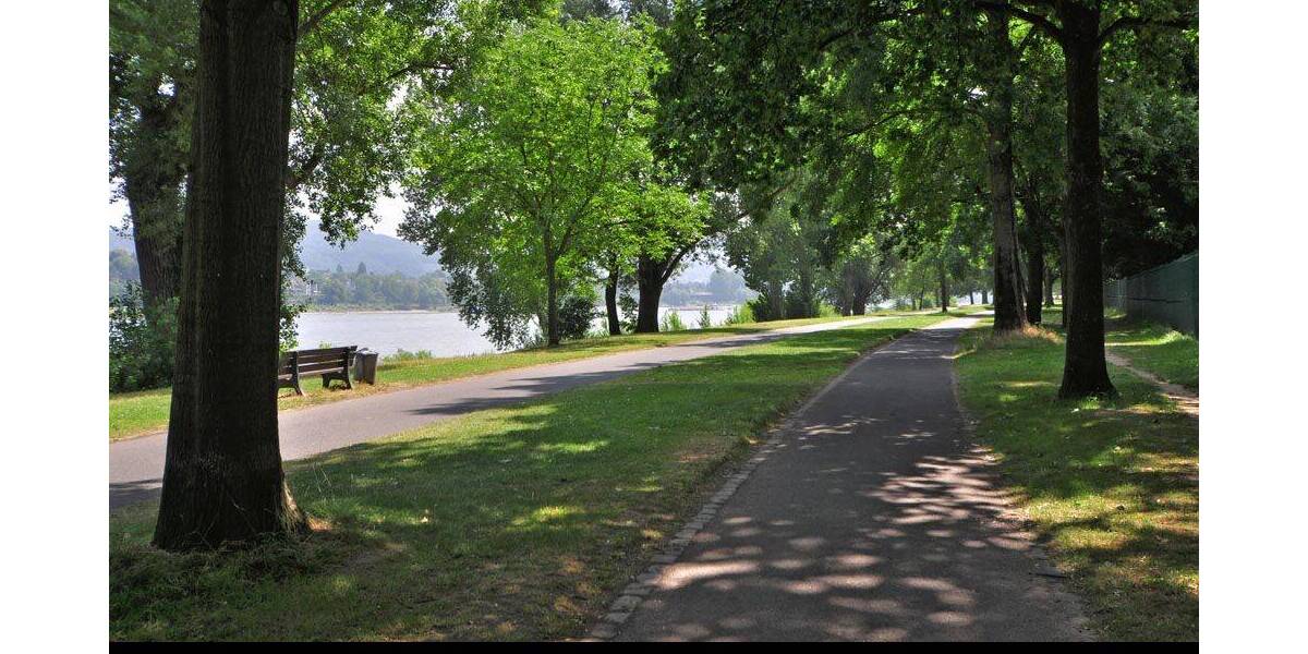 Grundstück Bonn Plittersdorf - 780.000&euro; | Angebot:23947793