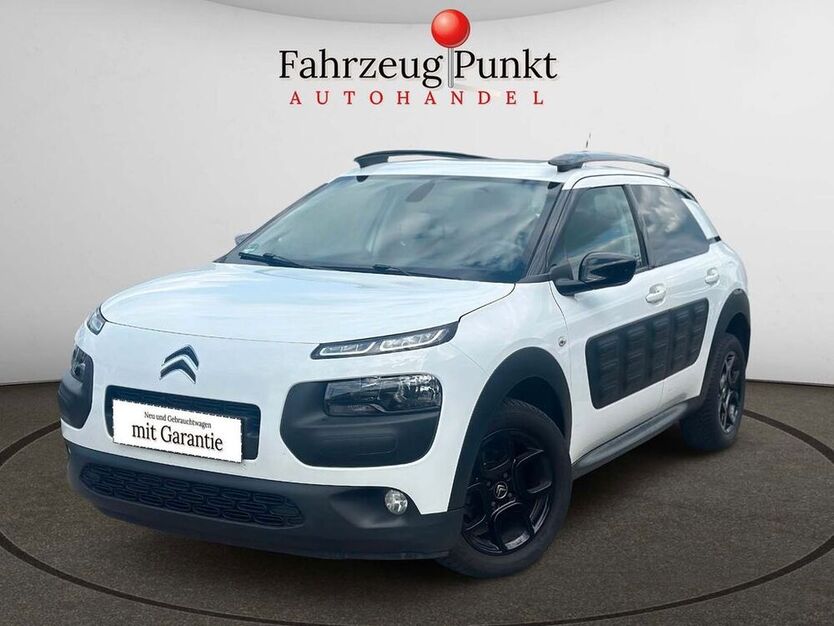 C4 Cactus