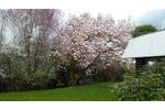 Bungalow Bonn Lannesdorf - 3 Zimmer, 151 m&sup2;, 637.000&euro; | Angebot:25666902