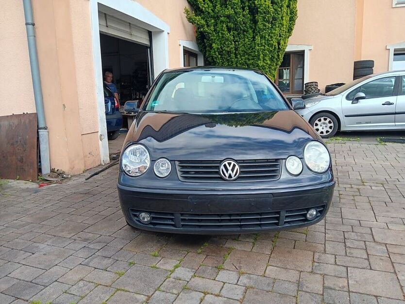 Polo