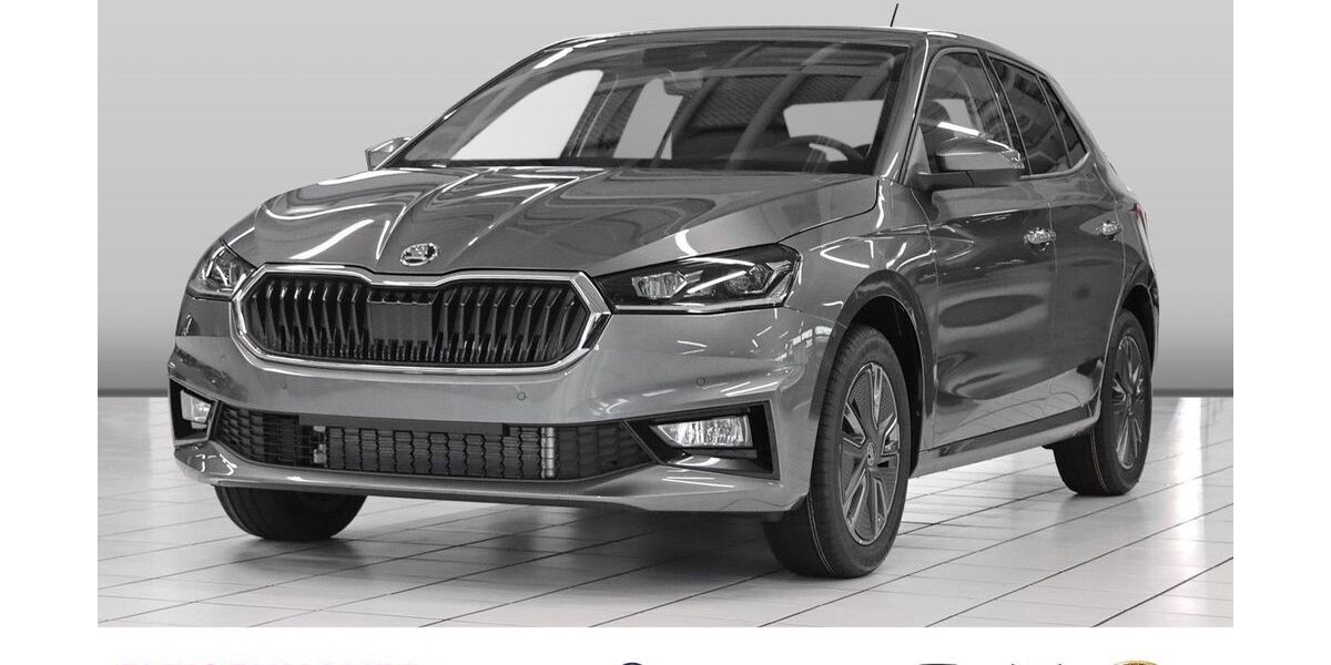 Skoda Fabia 3.000 km 28.980 &euro; Bonn 53119