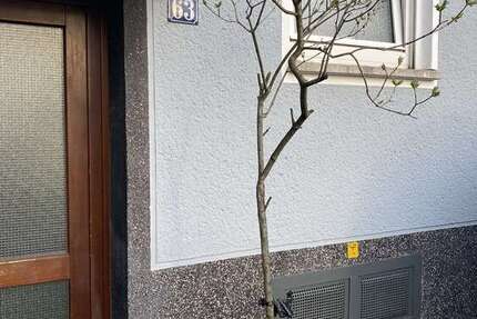 Wohnung Köln Kalk - 1 Zimmer, 18 m&sup2;, 500&euro; | Angebot:26971028
