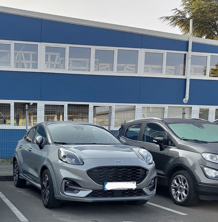 Ford Puma 31.000 km 19.500 € Grafschaft 53501