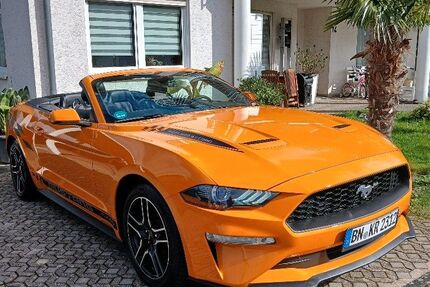 Ford Mustang 80.000 km 22.450 &euro; Bonn 53125