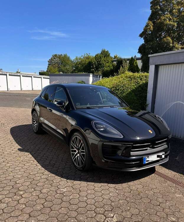 Macan