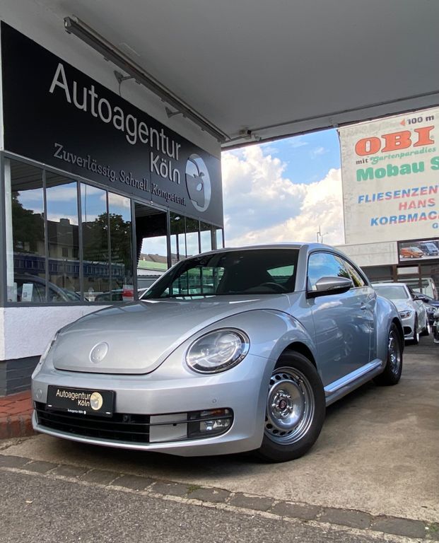 Beetle