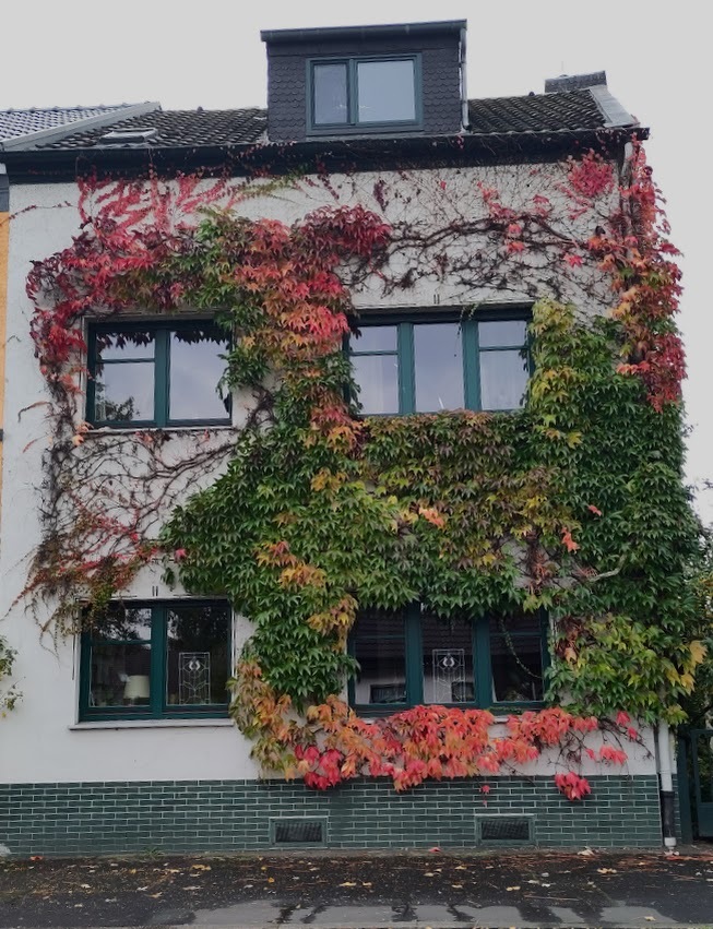 Schönes Haus mit 7 Zimmern in Bonn, Beuel 7 zimmer