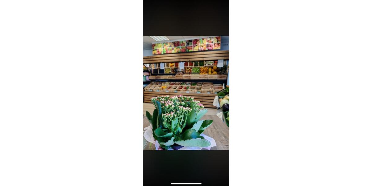 Gewerbeobjekt Bergisch Gladbach Gronau - 2.680&euro; | Angebot:24664716