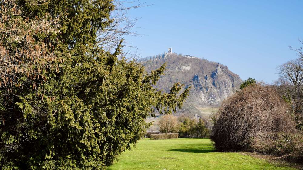 Einfamilienhaus Bonn Lannesdorf - 6 Zimmer, 228 m&sup2;, 1.650.000&euro; | Angebot:26198080