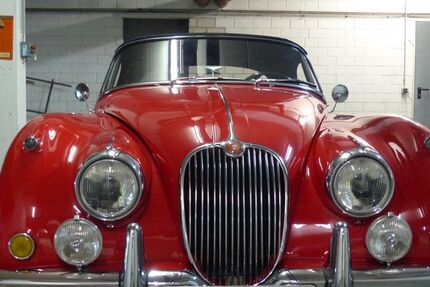 Jaguar XK 14.800 km 88.000 € Köln-Pesch 50767