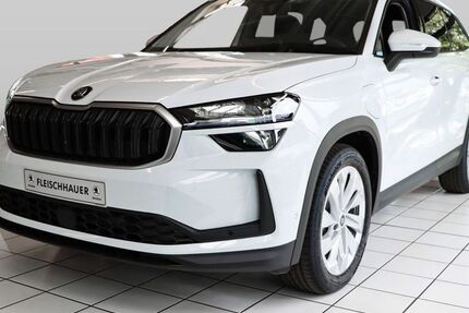 Skoda Kodiaq 14.500 km 45.980 &euro; Bonn 53119