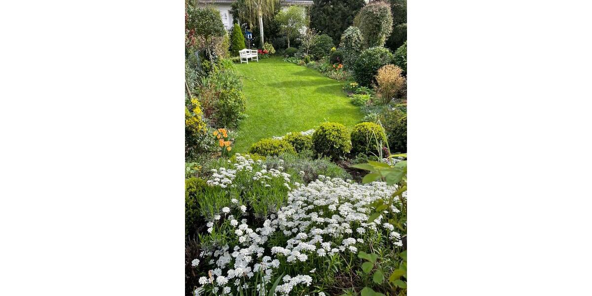 Reihenhaus Alfter - 5 Zimmer, 125 m&sup2;, 399.000&euro; | Angebot:25580069