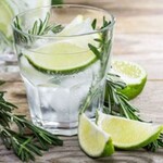 Gin o´clock, Das Gin Seminar | Bonn