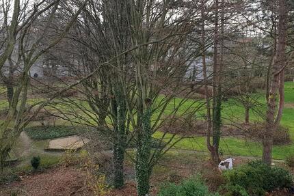 Wohnung zu Vermieten Duisdorf Lengsdorf zimmer