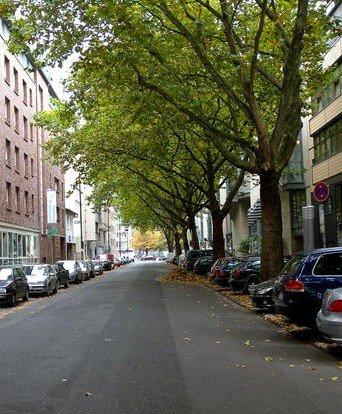 Erdgeschoßwohnung Köln Innenstadt - 1 Zimmer, 40 m&sup2;, 274.000&euro; | Angebot:26945388