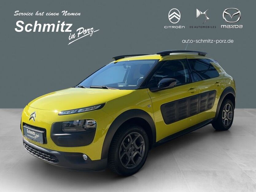 C4 Cactus