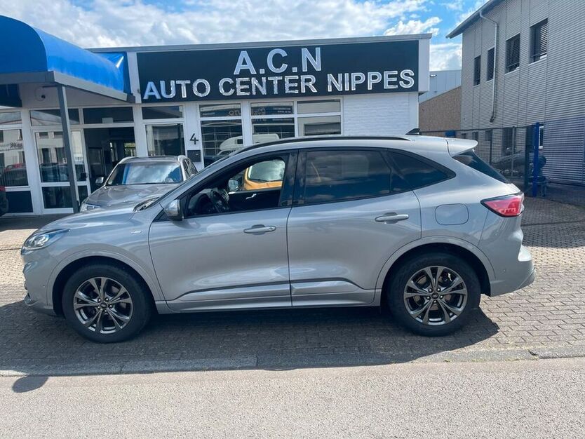 Kuga