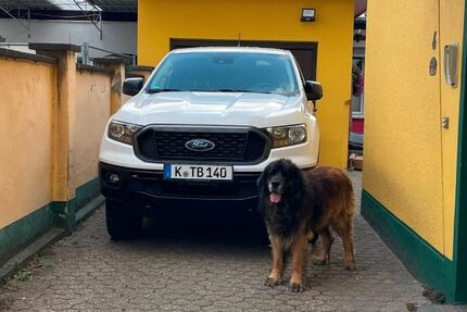 Ford Ranger 45.600 km 35.000 &euro; Köln 51147