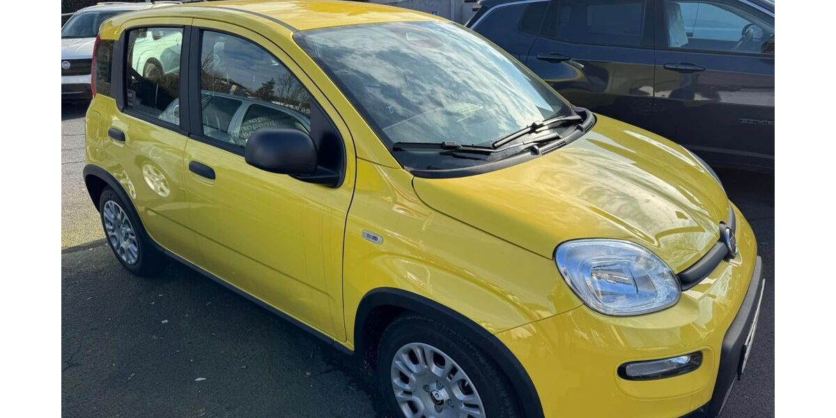 Fiat Panda 5.000 km 12.880 &euro; Königswinter-Thomasberg 53639