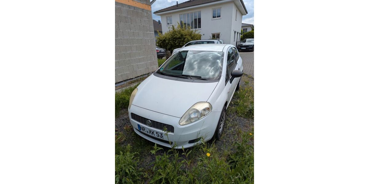 Fiat Punto 206.452 km 1.980 &euro; Dattenberg 53547