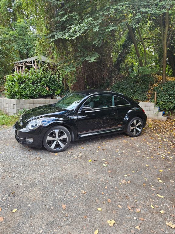 Beetle