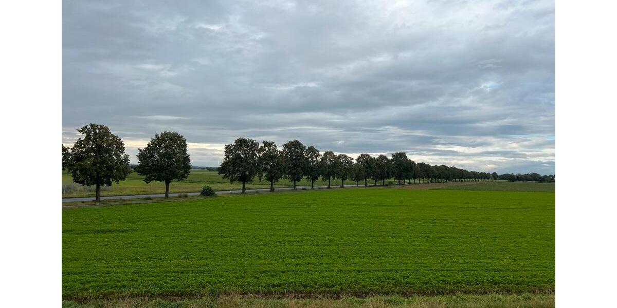 Etagenwohnung Frechen - 1 Zimmer, 20 m&sup2;, 500&euro; | Angebot:25811921