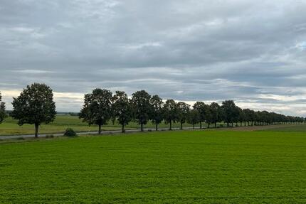 Wohnung Frechen - 1 Zimmer, 20 m&sup2;, 500&euro; | Angebot:25811921