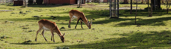Wild- und Freizeitpark Klotten Mosel Eifel