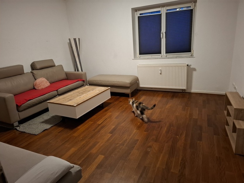 WG Zimmer IN ALT BOCKLEMÜND