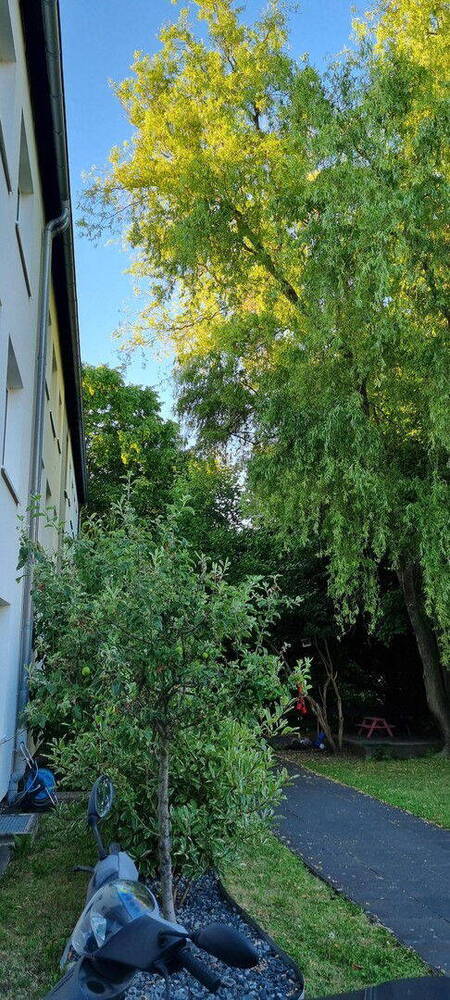 4 Zimmer Wohung in Duisdorf Finkenhof