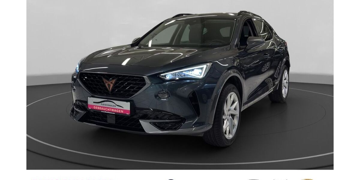 Cupra Formentor 23.993 km 25.980 &euro; Bonn 53119