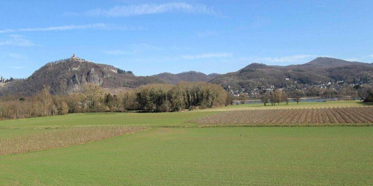 Einfamilienhaus Bonn Mehlem - 2 Zimmer, 228.000&euro; | Angebot:26259248