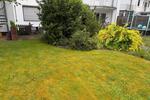Erdgeschoßwohnung Bergisch Gladbach Alt-Frankenforst - 3 Zimmer, 83 m&sup2;, 1.100&euro; | Angebot:26426278