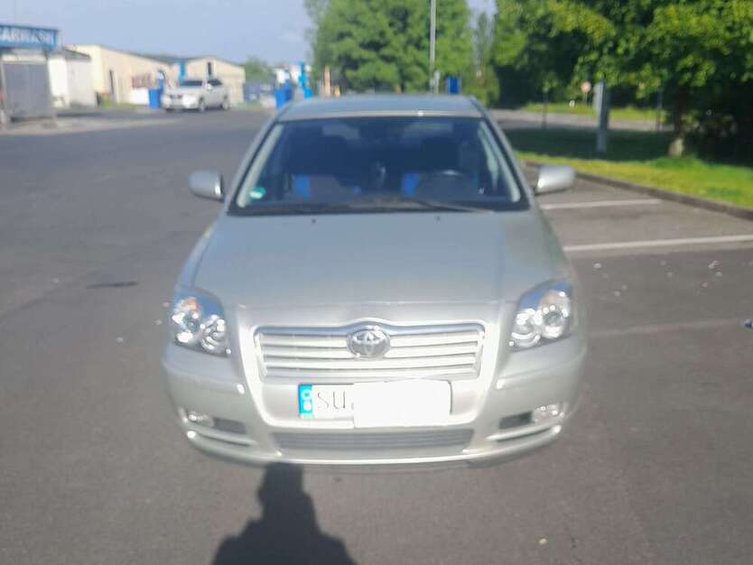 Avensis