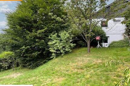 Weck mich aus dem Dornröschenschlaf! zimmer