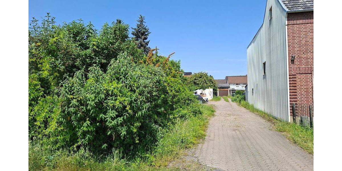 Gewerbeobjekt Alfter - 1 Zimmer, 1.800.000&euro; | Angebot:26806896