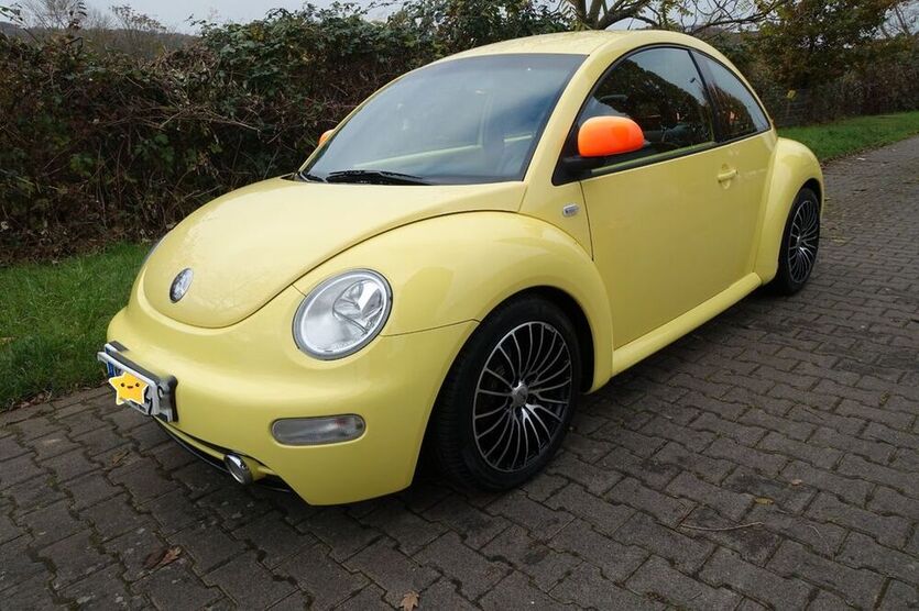 Beetle