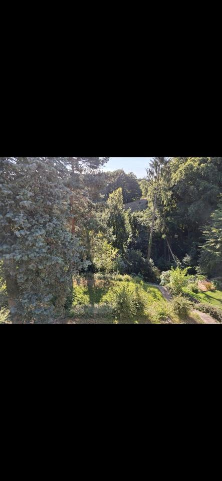 Traumhaus in Ittenbach mit eigenem Wald – von Privat