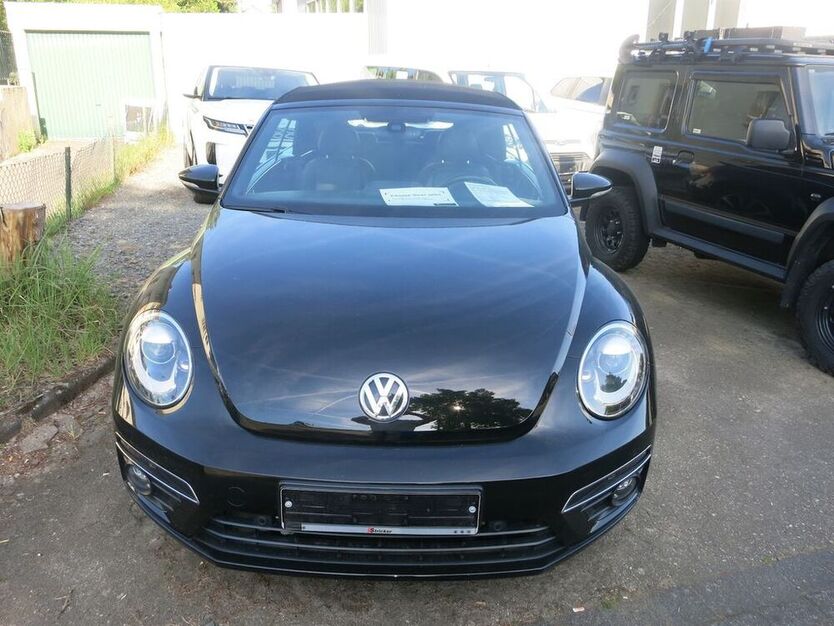 Beetle