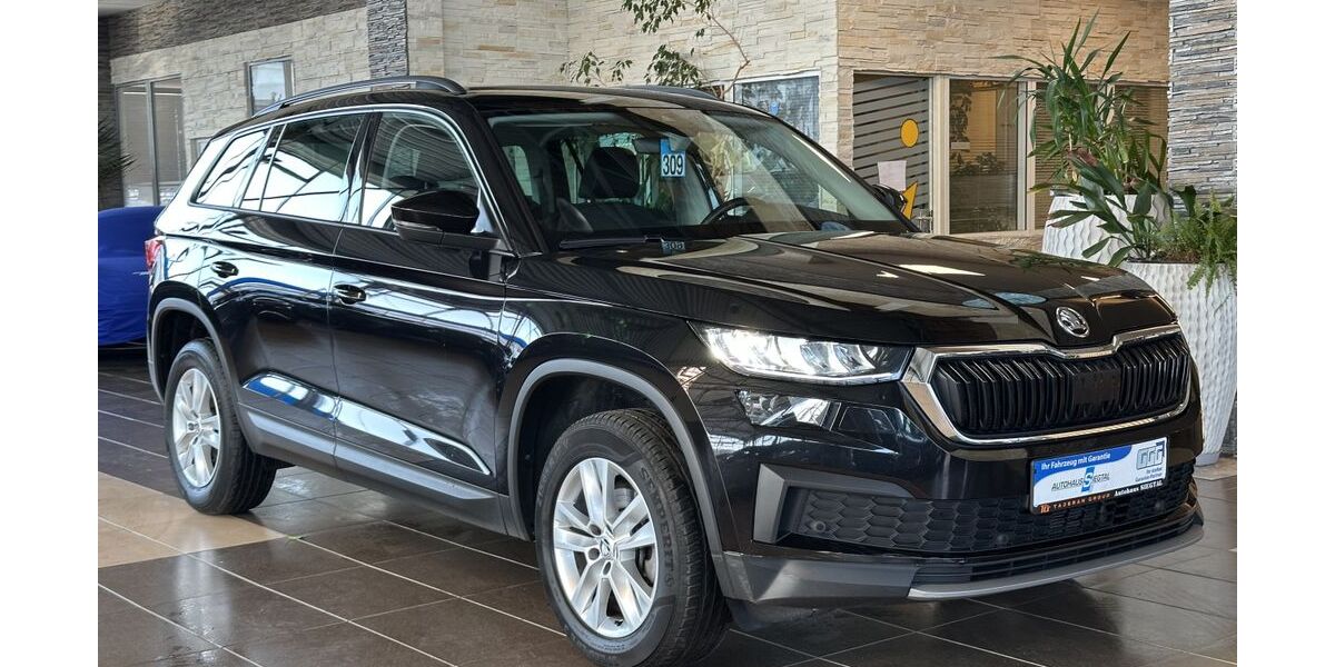 Skoda Kodiaq 168.005 km 21.500 &euro; Eitorf 53783