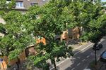 2-Zimmer-Wohnung in Köln-Kalk – Bezugsfrei ab MitteEnde Juli