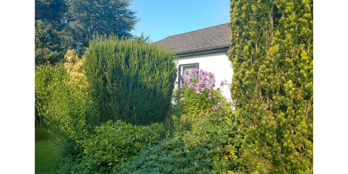 Einfamilienhaus Bergisch Gladbach Alt-Frankenforst - 6 Zimmer, 131 m&sup2;, 469.000&euro; | Angebot:26490424