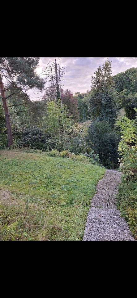 Traumhaus in Ittenbach mit eigenem Wald – von Privat