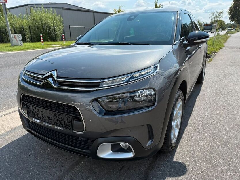 C4 Cactus