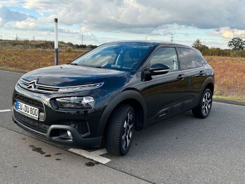 C4 Cactus