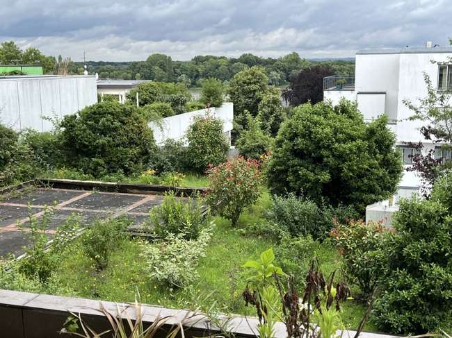 Wohnung zum Kaufen in Köln Rodenkirchen 125.000 € 37 m²